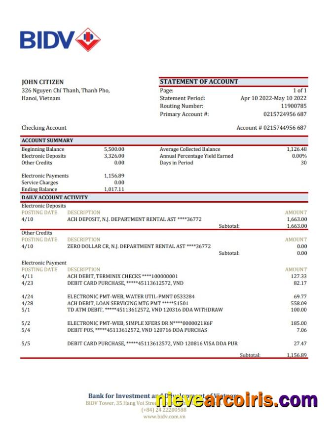 Vietnam BIDV bank statement